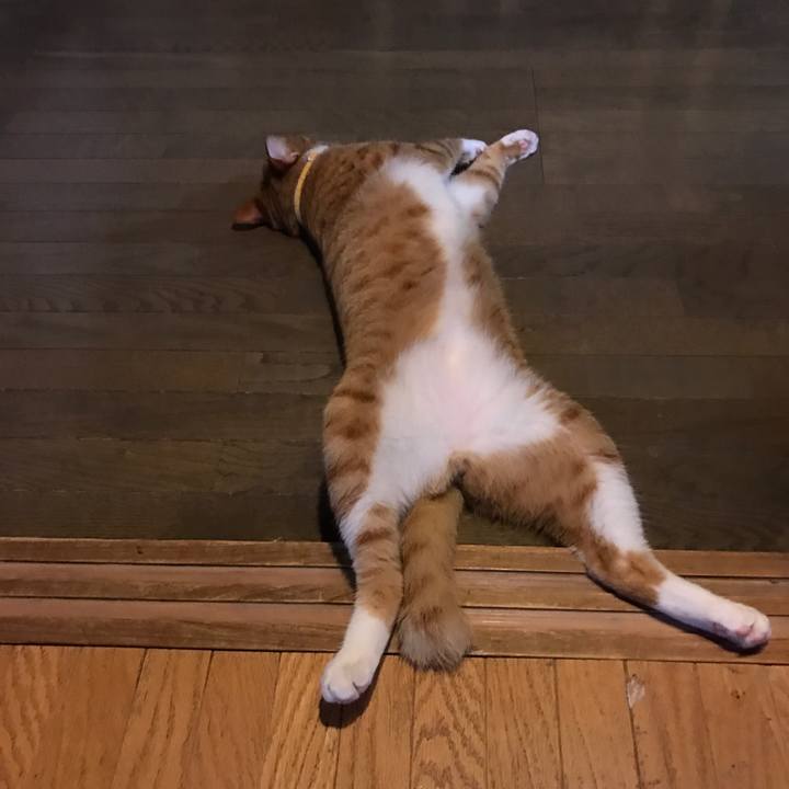 Ce29a76a 9c80 4d26 a1f9 fcd8ae132f08