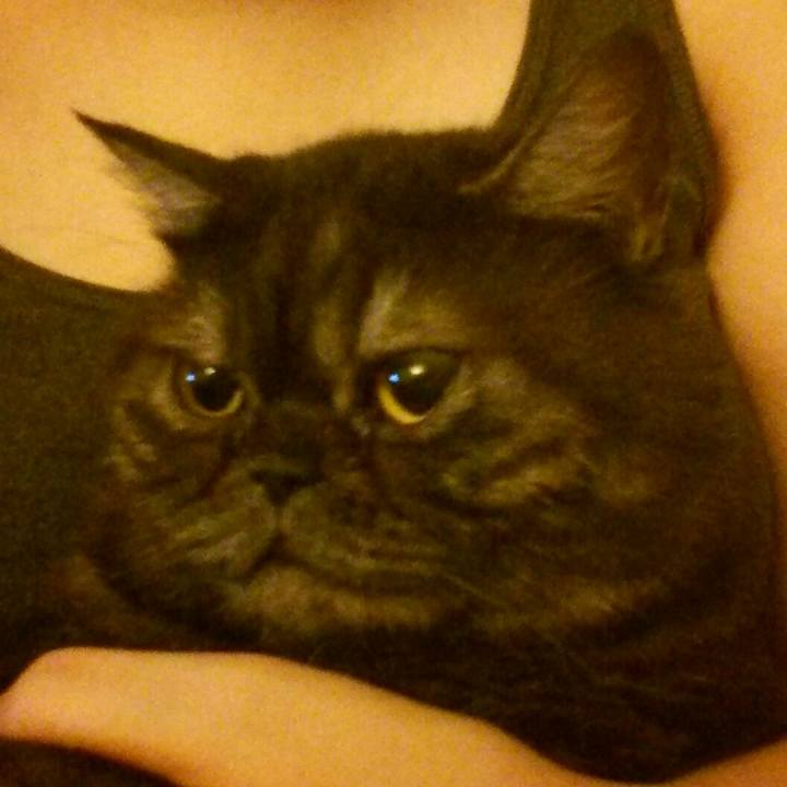 Ce2a2ca1 7501 4410 a95b d3c7d36cfef1