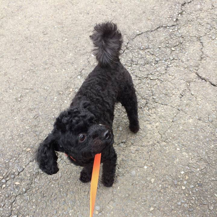 Ce2abdb3 182a 4f8b aa1d 23f40b525559