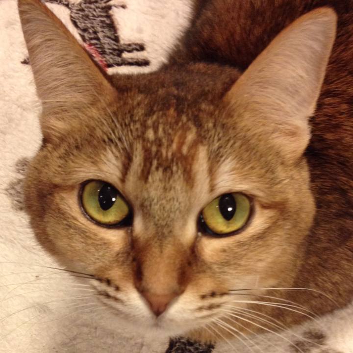 Ce2b082d 56e5 4eaa b70b 20938bcdf514