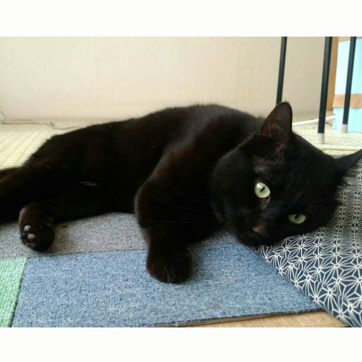 Ce2b0a53 aa31 4fb2 a62d f3b331f9b69f