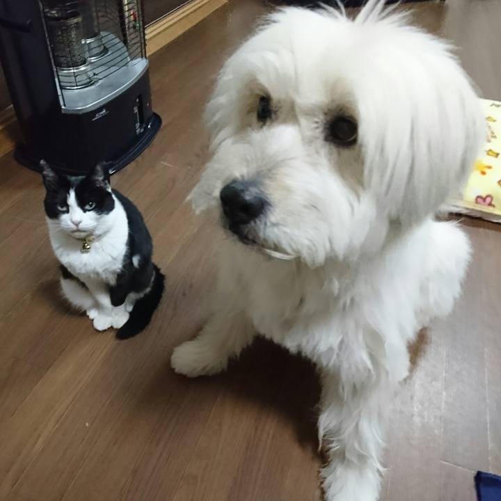 Ce2b5ed2 1143 4bc7 b61e 92fdf901c80e