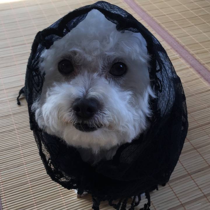 Ce2c1c3f 3412 4c1e a730 fc2c5ffb8554