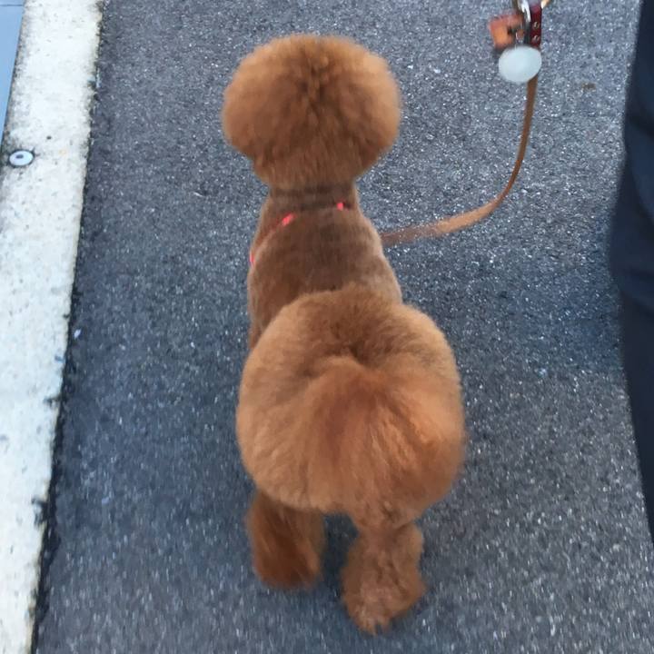 Ce2c4878 8b62 491f ab5d be1f51c9f48b