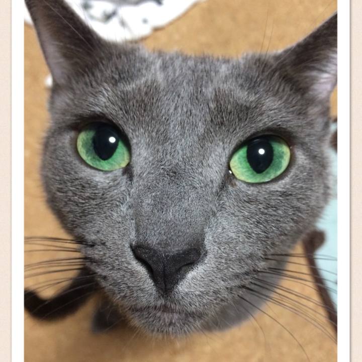 Ce2cda10 1782 4f3a b058 9860b65fc8c8