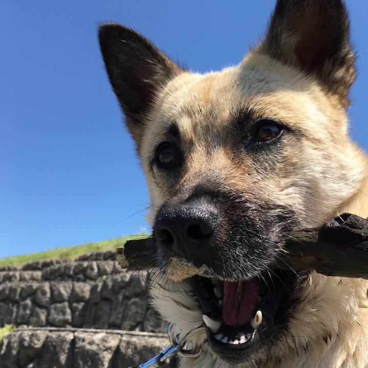 Ce2d09a9 ab1b 49e5 bc74 73ac7f74eac1