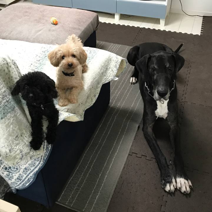 Ce2d1085 2402 45b0 a057 f39b85d48eb2