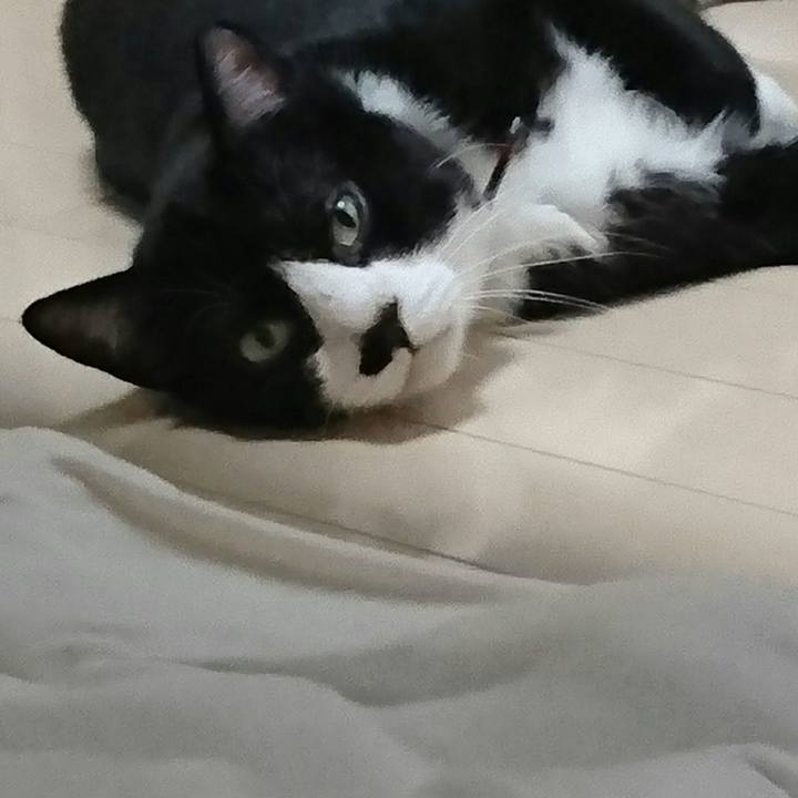 Ce2ddaca 9285 4bba a175 66baa0489d4c