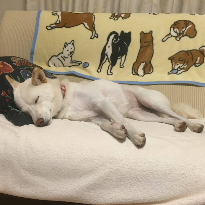 Ce2e285f e510 41b0 bb89 33dd370c00fc