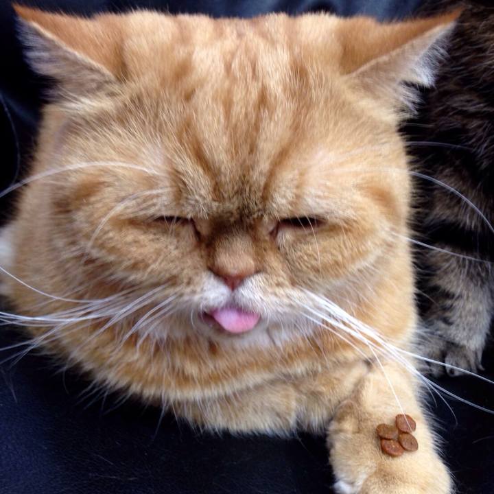 Ce2e3840 f111 49a4 bdb7 e406591130ec