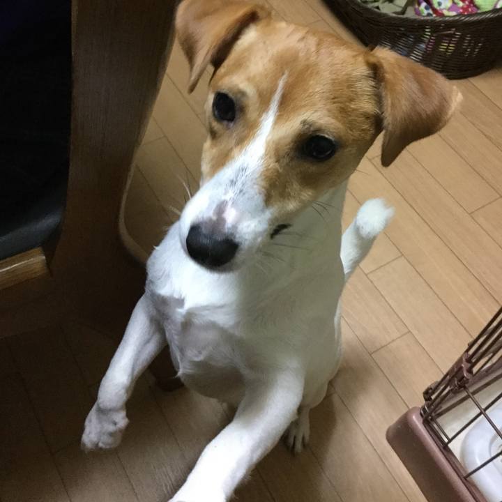 Ce2e721c f40f 48dd 9f27 2220a8605bbd