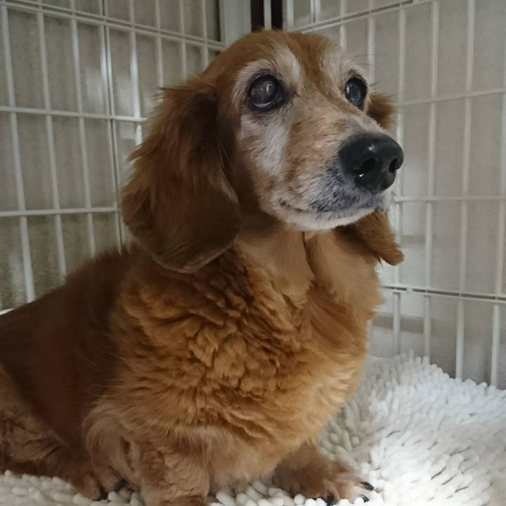 Ce2e92d5 8a43 4ad9 981d 4413108c8805