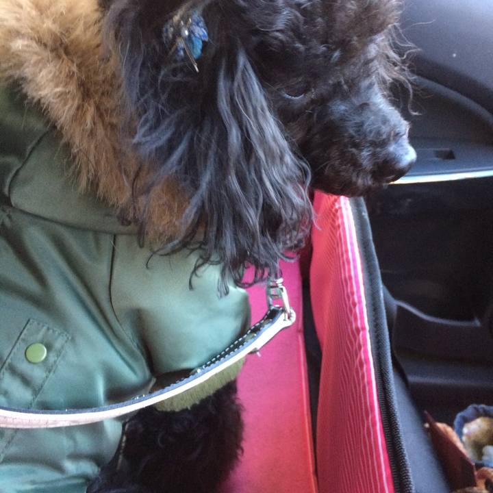 Ce2ec3ab c767 4406 91f1 04af4a3931f2