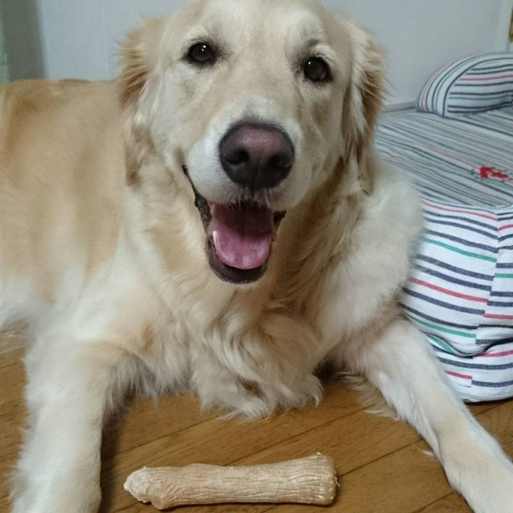 Ce2eccff a138 4411 be1b 3827407fea65