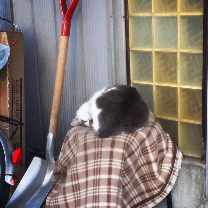 Ce2fae67 5796 4e7d a0f9 24844c767bc1