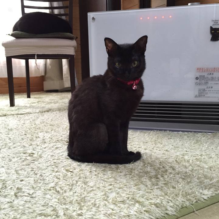 Ce2fed42 518d 4774 86f0 5b2378177d7b