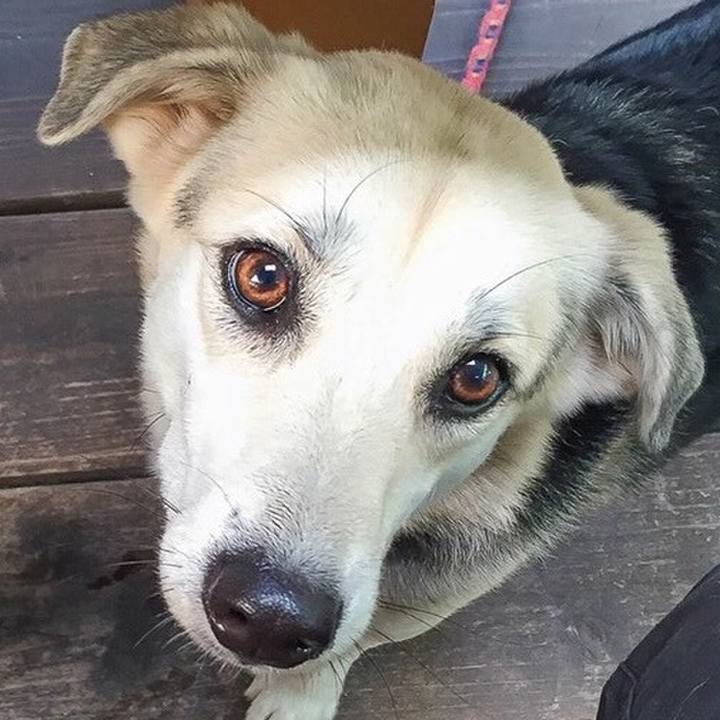 Ce2ffed7 0fb4 495d 8bb5 754708361532