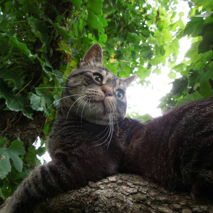 Ce3065d2 c7ca 406a 85dd 3b1b9a07bb92