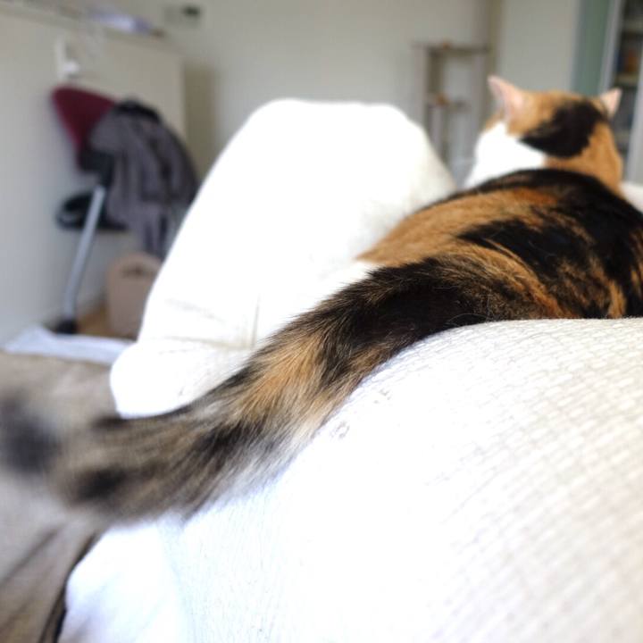 Ce308444 f280 46f0 bb96 decbed5cacb1