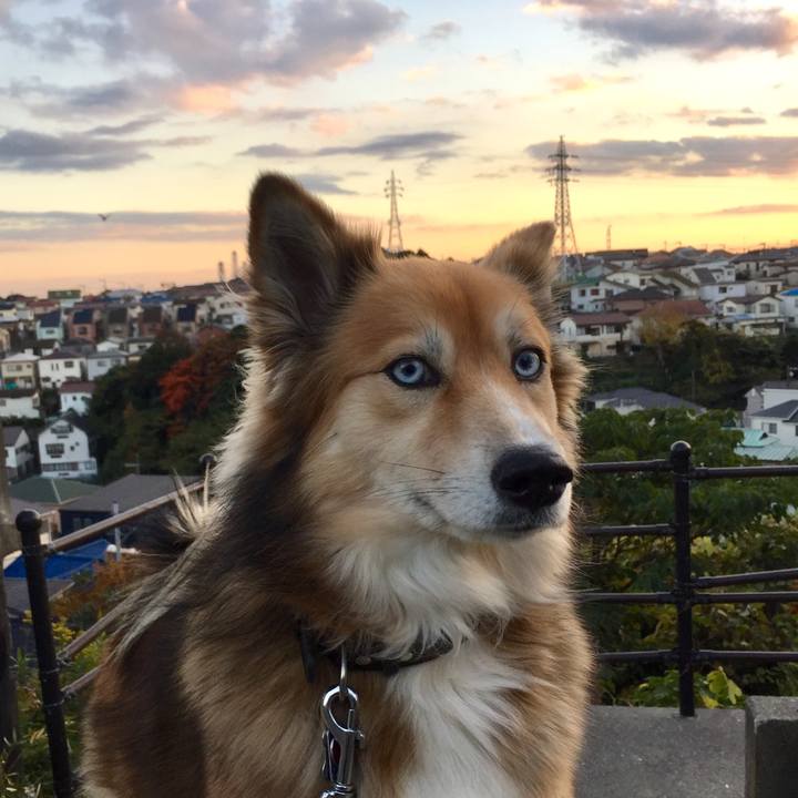 Ce3120ed cccb 4545 a1b4 1f82601cf306