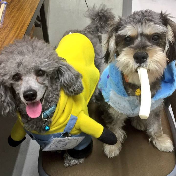 Ce3190c0 ee20 44d5 8381 ec63f6996503