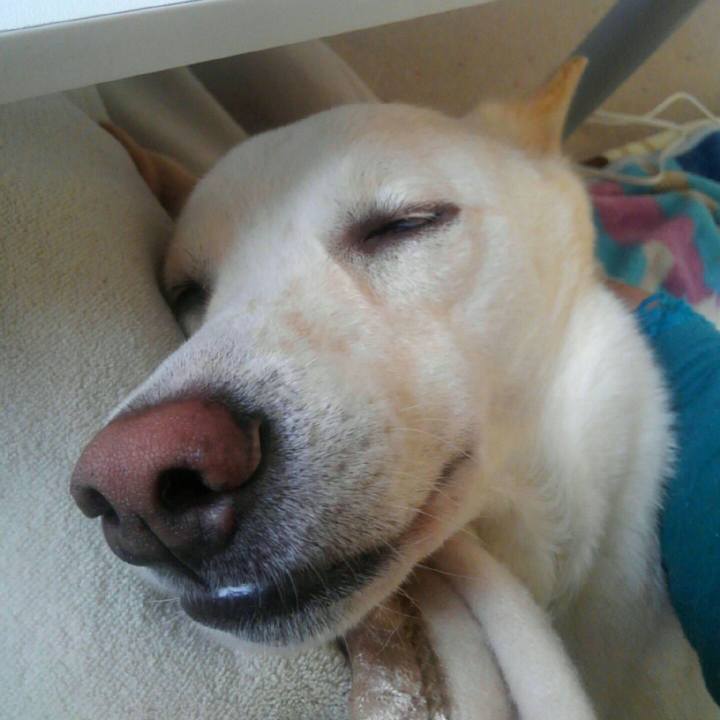 Ce31cb6f 841d 436d 8f48 4be0bb34fd8b