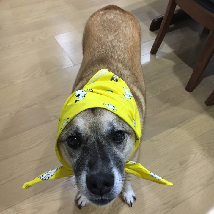 Ce31e2af e4b8 4a08 9246 3537d4164e7b