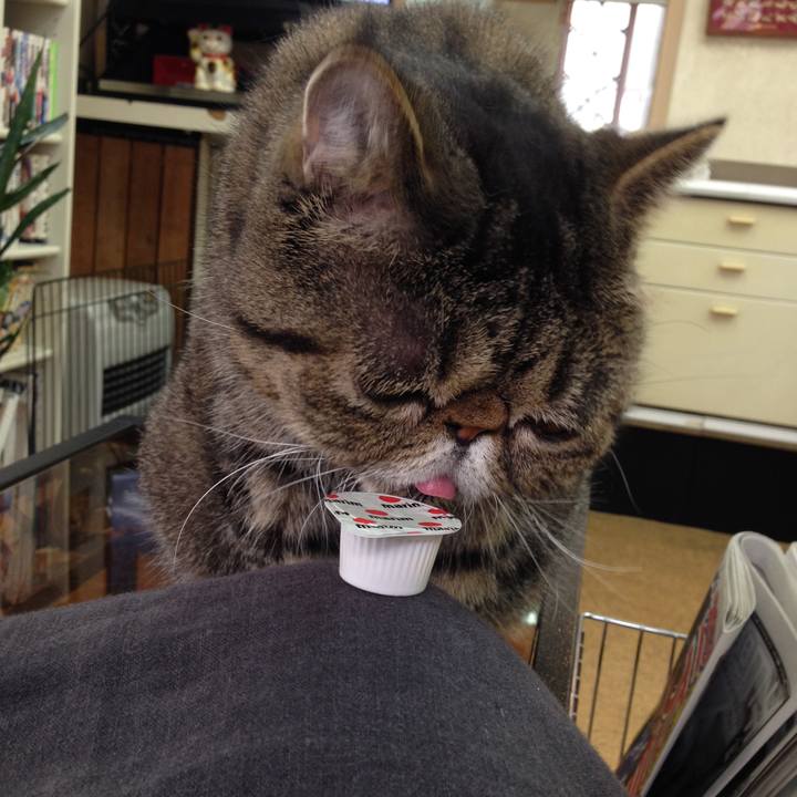 Ce323421 1d2b 4b0b 8937 5e5b621baa7c