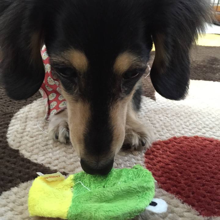 Ce32c380 33cc 4d0c 9314 a747c4849c0f