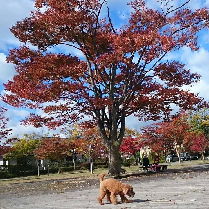 Ce33554f e2e8 4357 840e 434eceada8f2