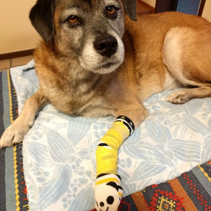 Ce337e04 c90a 4bfe 85eb 5bfd8b0d5867