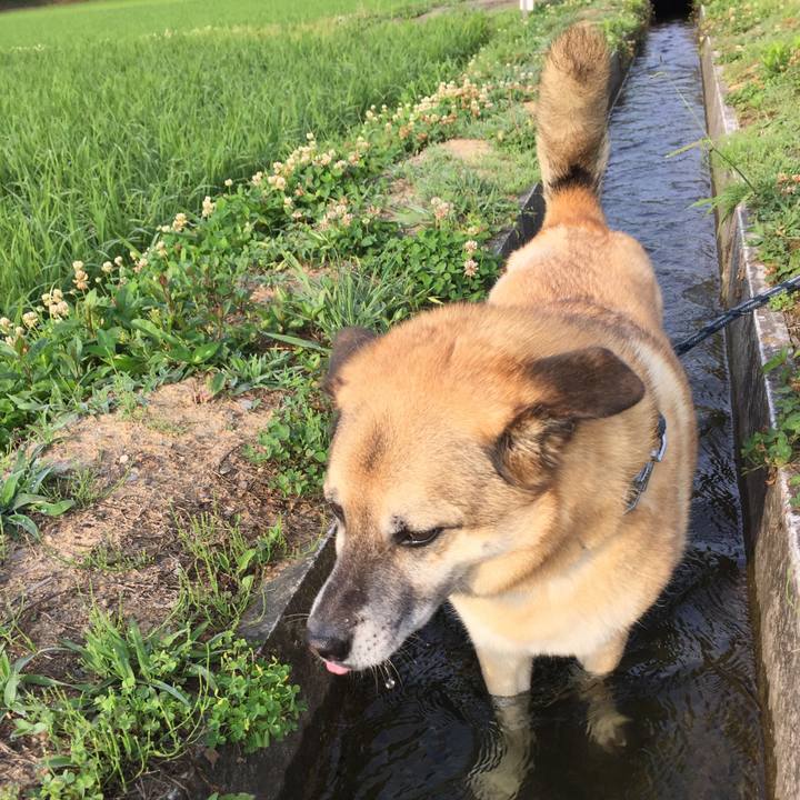 Ce337ee7 43ba 447a a82f 29d6d5b981c1