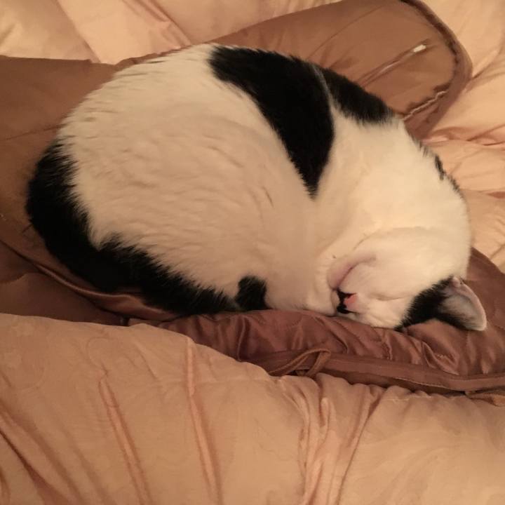 Ce33cb52 f773 4d5b a584 df106516acdf