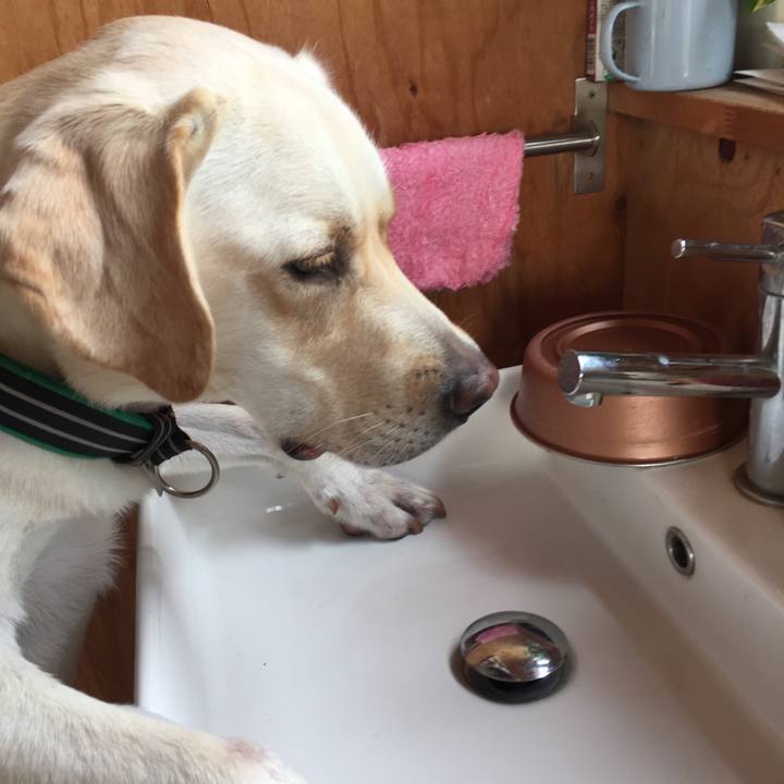 Ce349edf a759 4e78 b8b3 280f28a1a951