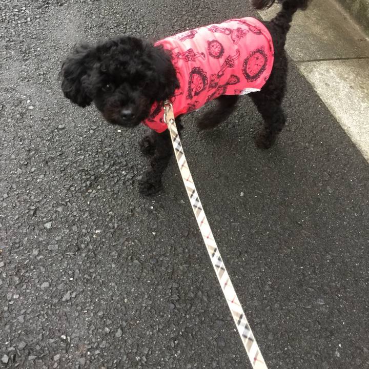 Ce360ded 212c 46ca 839e 2d9a85e23b48