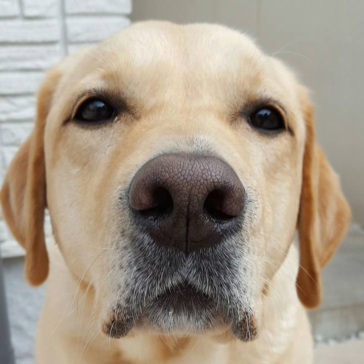 Ce362711 b697 4efc afb0 e81f050d3dd5