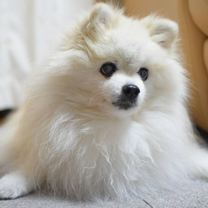 Ce36328b 10b1 419d a2d7 8be3b2692e2c