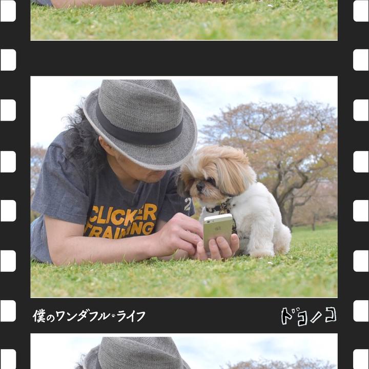 Ce363824 a2d7 4337 9a3e a64763eb4792