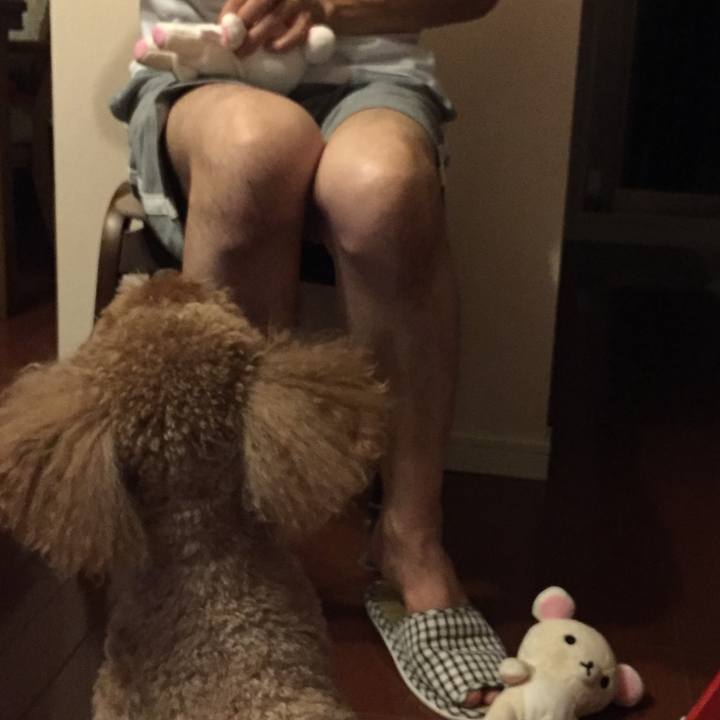 Ce3692d8 f0af 4aee 9bed cae672181bf5