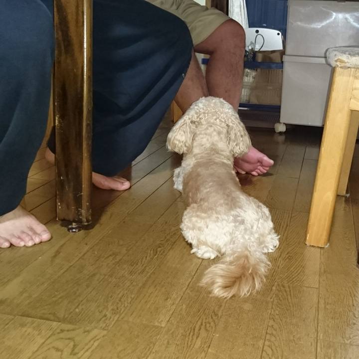 Ce37e364 75d0 4dc5 bb78 dc74dbbb3614