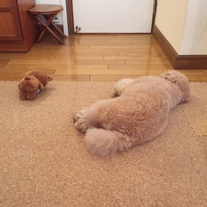 Ce37e674 95a5 490e 89eb 7b0b9e6be862