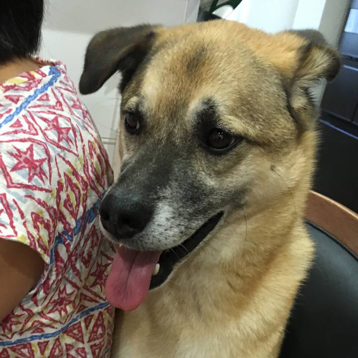 Ce381585 49e5 44e5 8786 8723c13c47ec