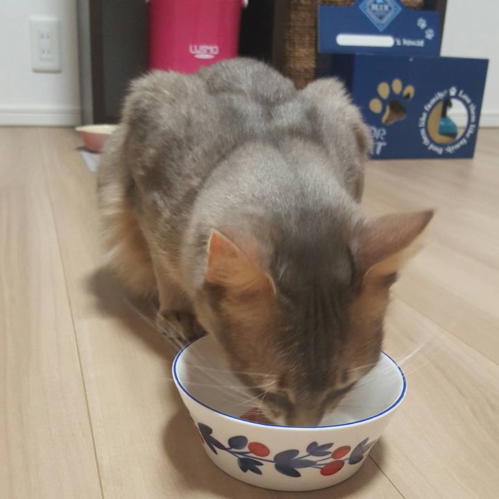 Ce3884bf 28de 45b1 9024 98e3cec5326c