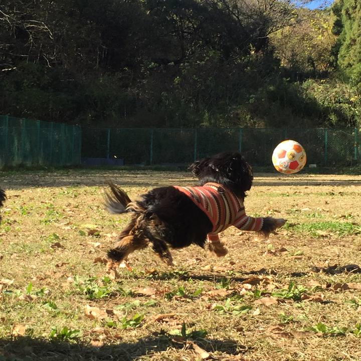 Ce38a6c4 2d38 4b32 845c 31463f5a6d36