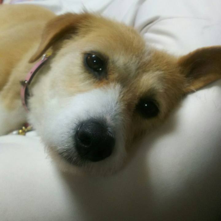 Ce397e60 f9d3 4f97 94ea 152675a993e4