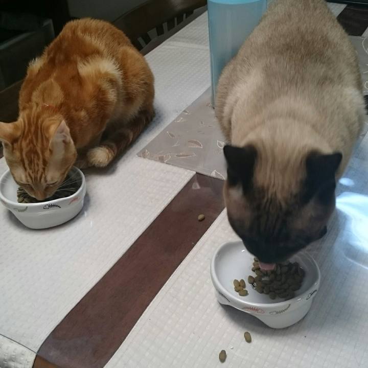 Ce39adf1 f47e 4779 ad0c f45ba4106050