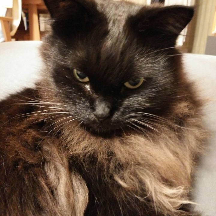 Ce3a2898 8049 4a15 a995 8874a4e198b2