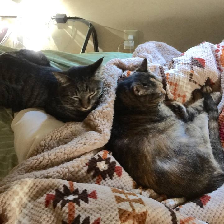 Ce3b3b78 6d7d 4997 bd98 54d99849d503