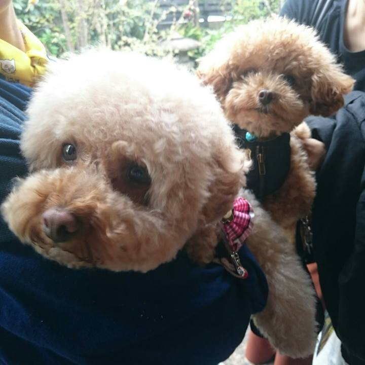 Ce3bb339 16ba 4da4 9e61 bd426c6566bd