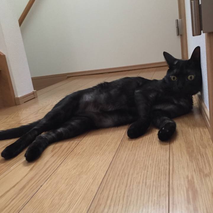 Ce3bda57 10c9 4a94 aa43 acca001ed961